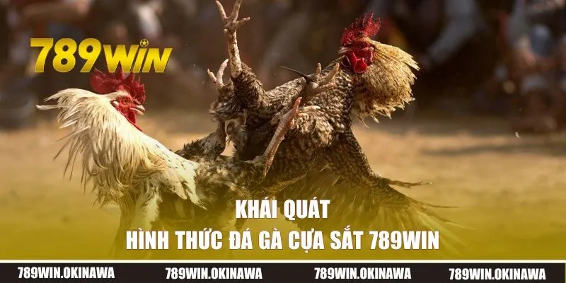 Khái quát về hình thức đá gà cựa sắt 789WIN