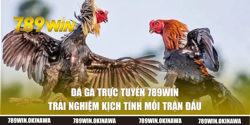 đá gà trực tuyến